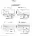Fig. 05 - METHODS OF DIAGNOSING CERVICAL CANCER