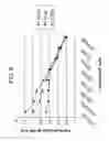 Fig. 09 - METHODS OF DIAGNOSING CERVICAL CANCER