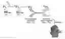 Fig. 01 - Photodamage mitigation compounds and systems