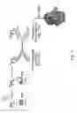 Fig. 02 - Photodamage mitigation compounds and systems