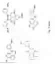Fig. 07 - Photodamage mitigation compounds and systems