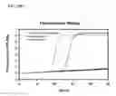 Fig. 06 - OLIGONUCLEOTIDES FOR DETECTING E. coli O157:H7 STRAINS AND USE THEREOF
