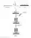 Fig. 02 - Detection of Nucleic Acids