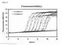 Fig. 03 - KIT FOR DETECTING CHLAMYDIA TRACHOMATIS STRAINS AND METHOD FOR DETECTING CHLAMYDIA TRACHOMATIS STRAINS USING THE SAME