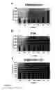 Fig. 04 - POLYMERS FOR GROWING CELLS