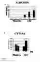 Fig. 12 - POLYMERS FOR GROWING CELLS