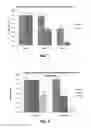 Fig. 02 - LABORATORY METHOD AND EXPERIMENTAL SPECIMEN FOR VALIDATING THE EFFICACY OF ANTIMICROBIAL AGENTS ON BOVINE CARCASSES