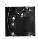 Fig. 05 - METHOD FOR PRODUCING SELECTIVE MEDIUM AND USE THEREOF