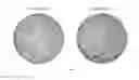 Fig. 07 - Episomal expression vector for metazoan cells