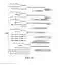 Fig. 02 - Combinatorial DNA library for producing modified -glycans in lower eukaryotes