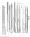 Fig. 05 - Combinatorial DNA library for producing modified -glycans in lower eukaryotes