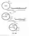 Fig. 08 - Combinatorial DNA library for producing modified -glycans in lower eukaryotes