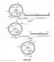 Fig. 09 - Combinatorial DNA library for producing modified -glycans in lower eukaryotes