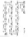 Fig. 05 - Recombinant microbial host cells for high eicosapentaenoic acid production