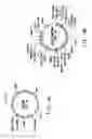 Fig. 07 - Recombinant microbial host cells for high eicosapentaenoic acid production