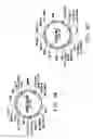 Fig. 09 - Recombinant microbial host cells for high eicosapentaenoic acid production