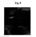 Fig. 09 - Method for pretreating biomass to produce bioethanol