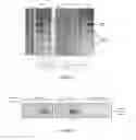 Fig. 02 - Methods for control of flux in metabolic pathways through protease manipulation