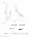 Fig. 04 - Tag peptide having a protease recognition sequence and use thereof