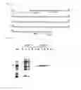 Fig. 07 - Tag peptide having a protease recognition sequence and use thereof