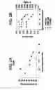 Fig. 03 - Differentiation of human embryonic stem cells