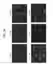 Fig. 04 - Differentiation of human embryonic stem cells