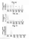 Fig. 02 - Differentiation of human embryonic stem cells
