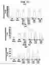 Fig. 03 - Differentiation of human embryonic stem cells