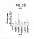 Fig. 06 - Differentiation of human embryonic stem cells