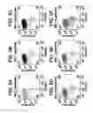 Fig. 08 - Differentiation of human embryonic stem cells