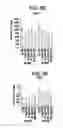 Fig. 11 - Differentiation of human embryonic stem cells