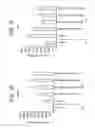 Fig. 04 - Differentiation of pluripotent stem cells
