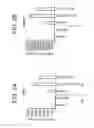 Fig. 06 - Differentiation of pluripotent stem cells