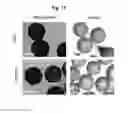 Fig. 11 - PEPTIDE-MODIFIED MICROCARRIERS FOR CELL CULTURE