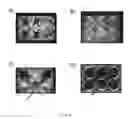 Fig. 06 - Microporous Cell Culture Substrates