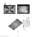 Fig. 07 - Microporous Cell Culture Substrates