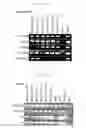 Fig. 26 - Method for making IPS cells