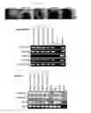 Fig. 29 - Method for making IPS cells