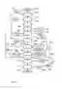 Fig. 04 - Process for operating a gas sampling device for colorimetric gas analysis