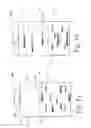 Fig. 02 - Method for purification of semiconducting single wall nanotubes