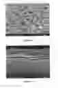 Fig. 06 - Method for treating group III nitride semiconductor