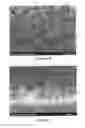Fig. 07 - Method for treating group III nitride semiconductor