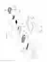 Fig. 06 - WALL PLATE ASSEMBLY