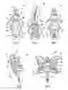 Fig. 03 - Doll with reconfigurable garment portion