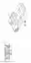Fig. 13 - Image capturing toy