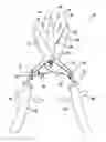 Fig. 01 - Bird debreasting tool and methods
