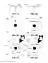 Fig. 02 - Devices, systems, and methods for notification of events on a wireless communication device