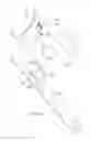 Fig. 04 - Systems and devices of enhancing power grip on an athletic apparatus