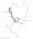 Fig. 05 - Golf downswing guide