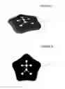 Fig. 10 - Wireless and visual hybrid motion capture system